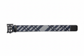 Burberry TB Belt Flat Lay